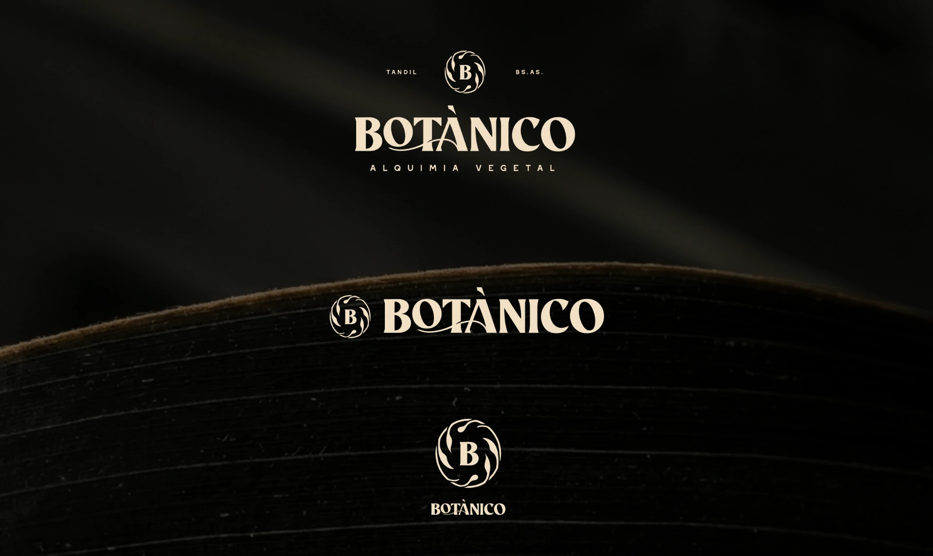 Arquitectura de marca con variantes de logotipo y sistema visual documentado para toda la línea de productos